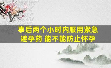 事后两个小时内服用紧急避孕药 能不能防止怀孕